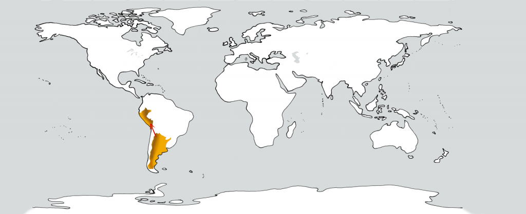Eine weiße Weltkarte mit zwei goldenen Flecken in der Position Argentiniens und Perus. Ein roter Pfeil führt vom ersten zum zweiten.